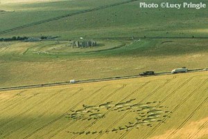 First crop circle 2009